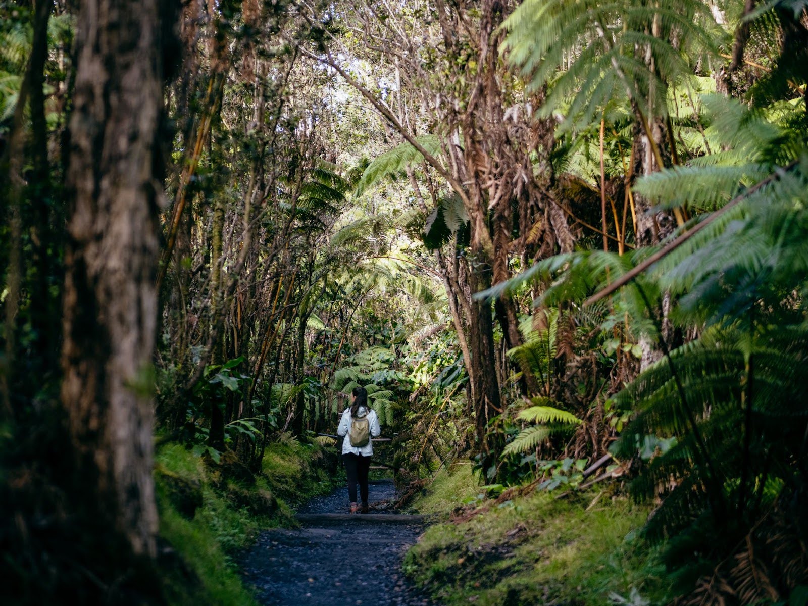 How Kailani Tours Is Raising the Bar for Luxury Island Travels Through Bespoke and Culture-Rich Tours Across Hawai'i