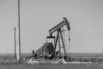 oil