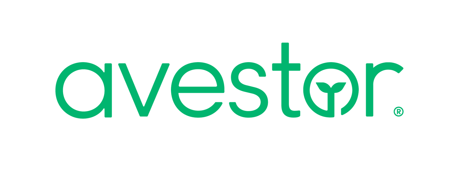 Inside Avestor’s Capital Raising Ecosystem Built on Education and Collaboration
