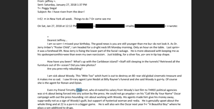 Timothee Chalamet's name appeared in an Epstein email.