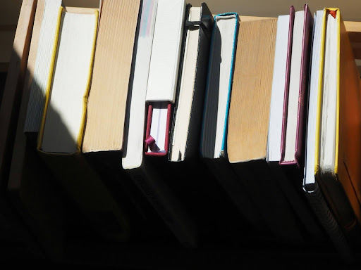 How MyIQ Is Liberating IQ Testing for the Digital Age