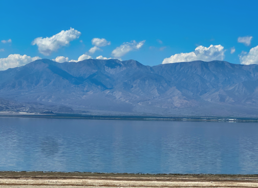 A Modern Gold Rush Emerges in California And One 40-Acre Property Sits at the Center of It