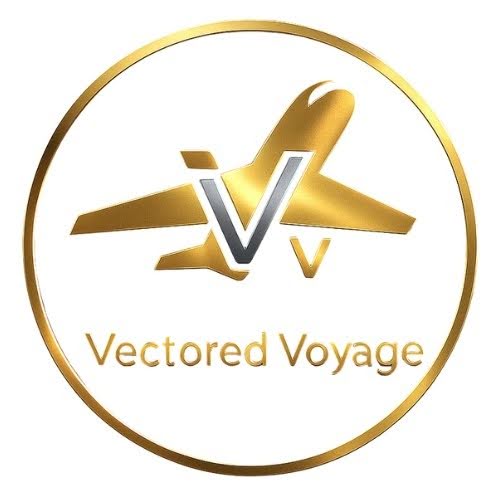 https://d.ibtimes.com/en/full/4647764/vectored-voyage.jpg