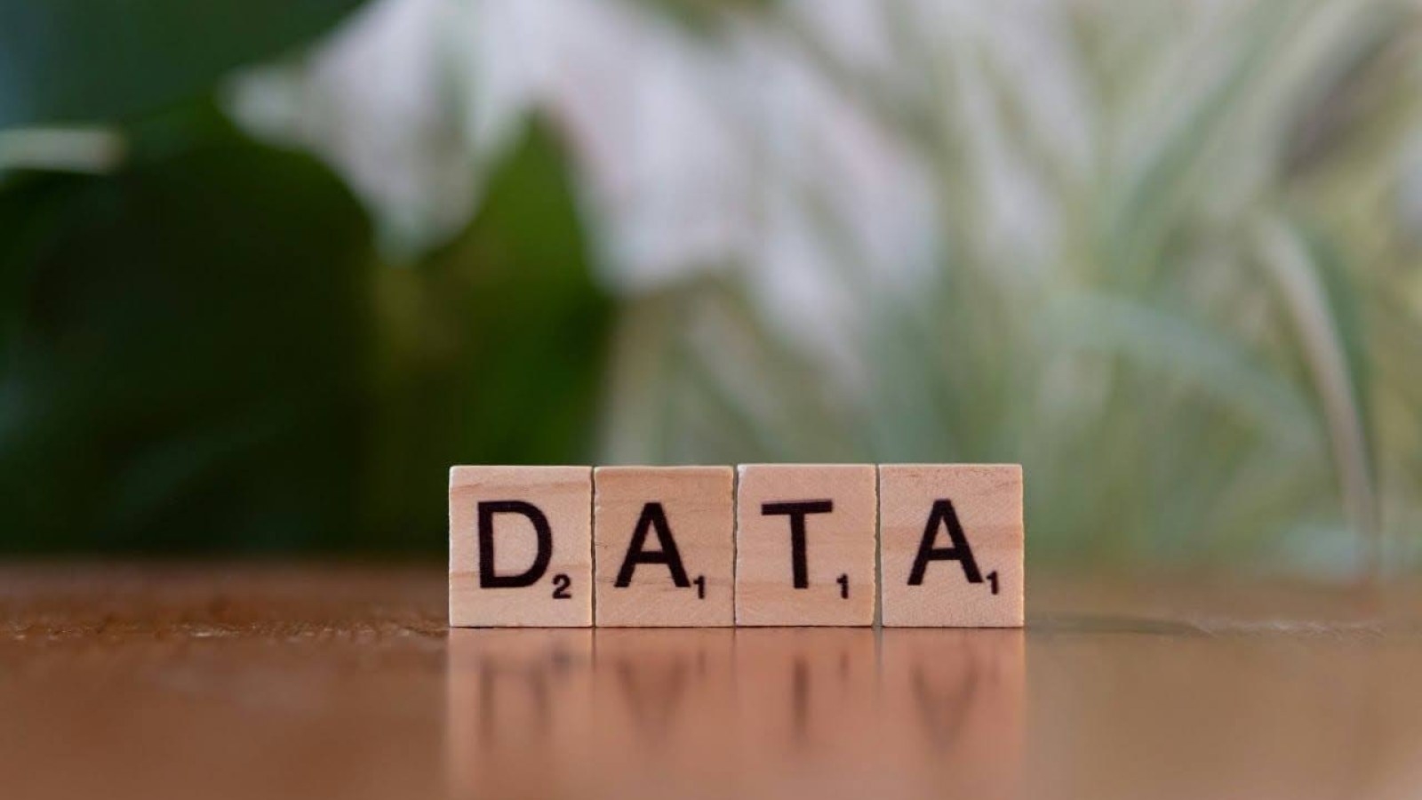 Automated Solutions and Human Judgement – Both Crucial for AI Training