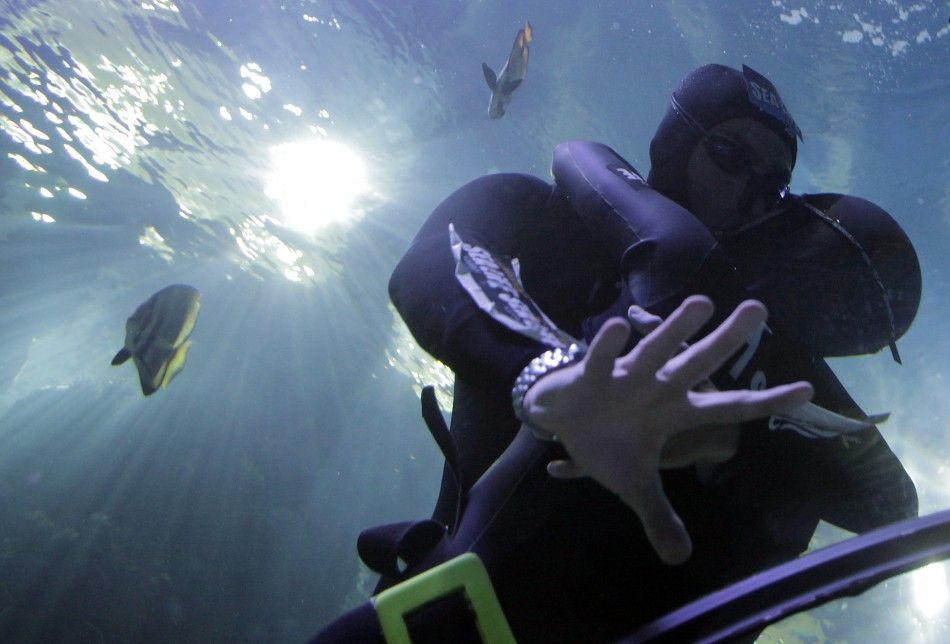 Free divers Maric and Bonin kiss in an attempt to set the world record for the longest underwater kiss, in an oceanic tank at the Gardaland Sea Life Aquarium in Castelnuovo del Garda