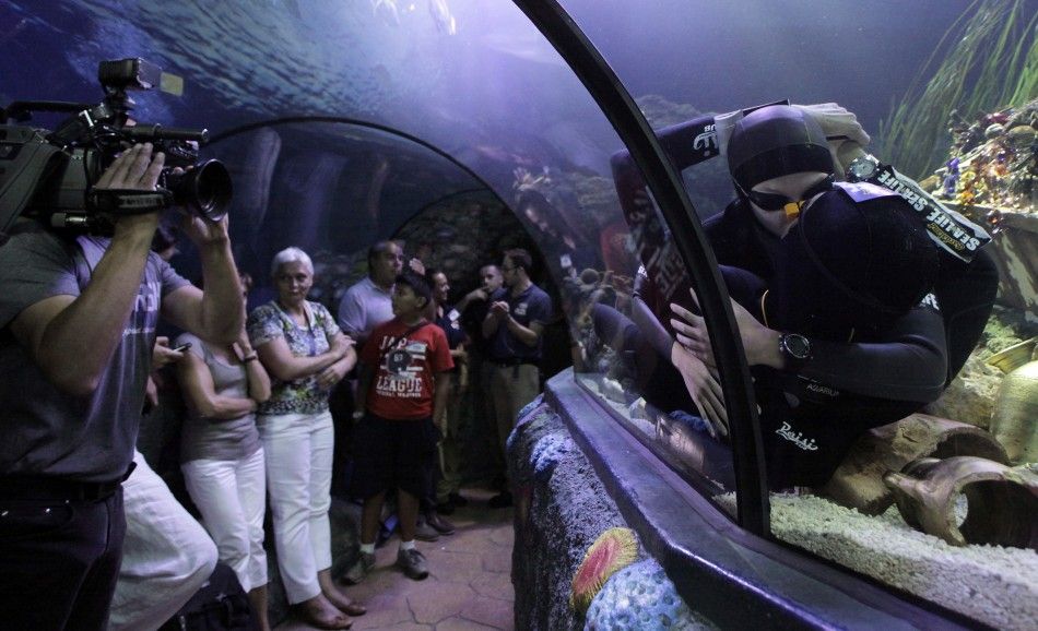 Free divers Maric and Bonin kiss to set the new world record for the longest underwater kiss, in an oceanic tank at the Gardaland Sea Life Aquarium in Castelnuovo del Garda