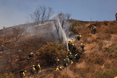 Firefighters