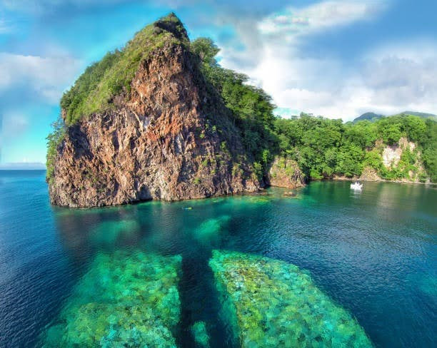 Discover Dominica Authority