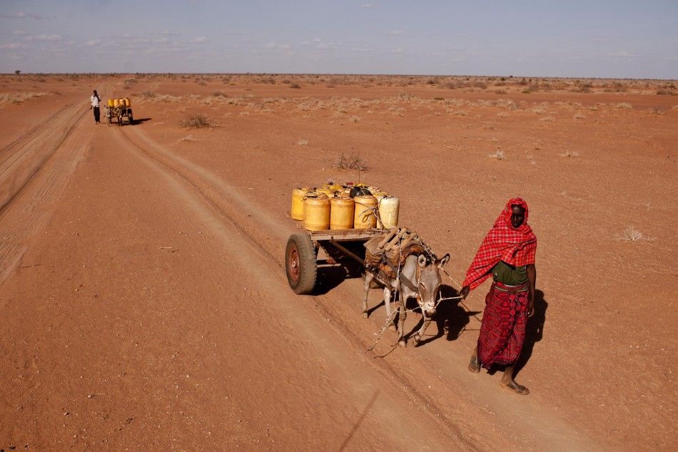 A man leads a donkey transporting water containers in Barmil