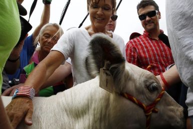 Former Governor of Alaska Sarah Palin and her husband Todd look at a bull calf during a visit to the Iowa State Fair in Des Moines