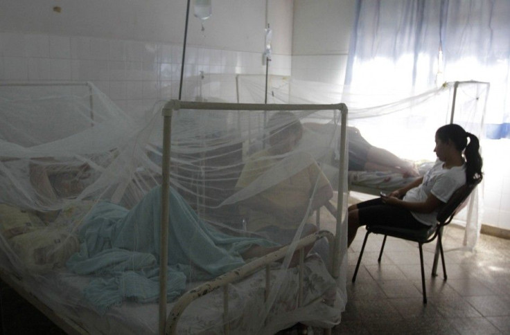 Patients lie under mosquito bed nets