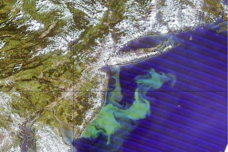 NOAA Releases Startling Image of Monster Algae Bloom; Almost the Size of New Jersey.