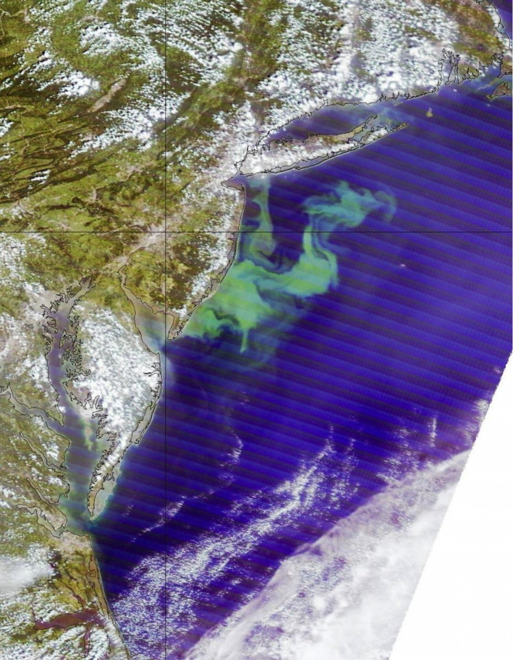 NOAA Releases Startling Image of Monster Algae Bloom; Almost the Size of New Jersey.