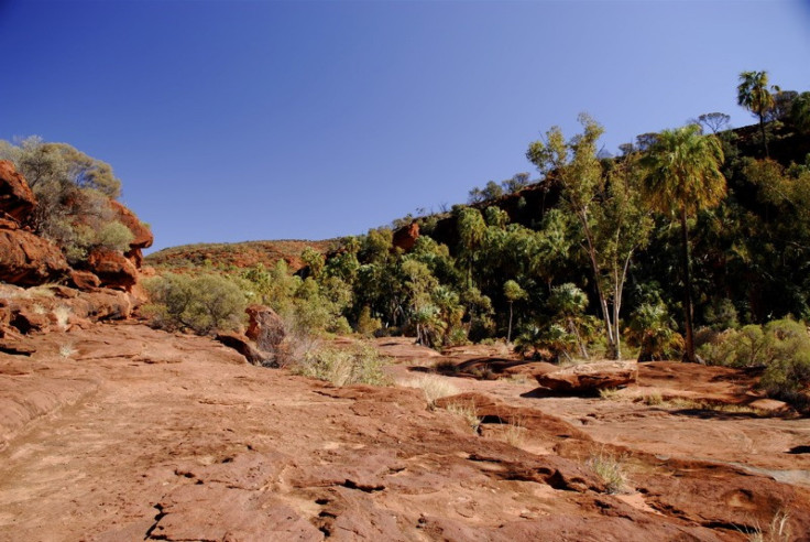 Australia's Outback