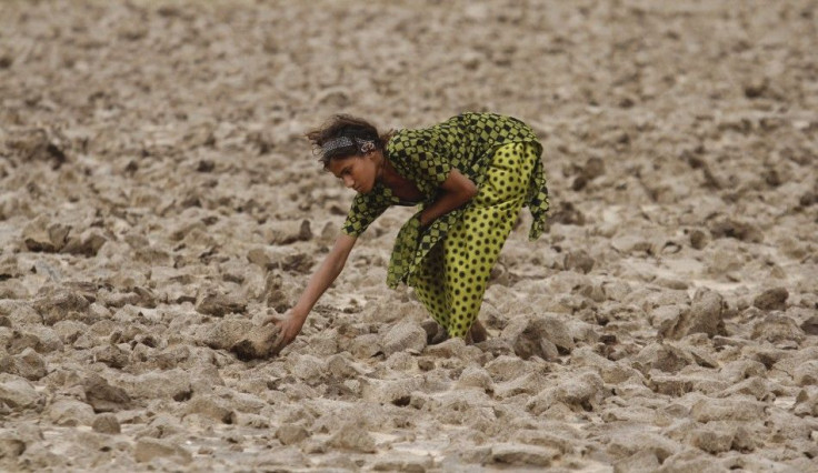 Nitrogen in Fertilized Soil Boosts Self-Cleaning Capacity of Atmosphere