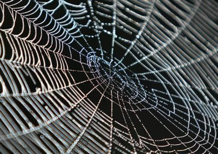 A spider web seen in the Kosovo village of Acareva.