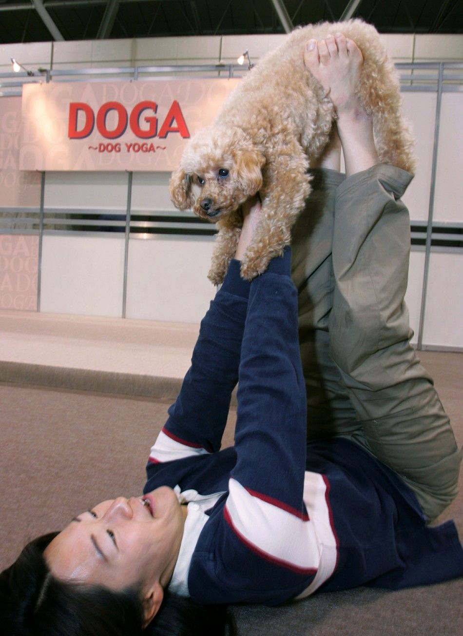 Oddly Trend Doing Yoga With Your Dog is Called Doga