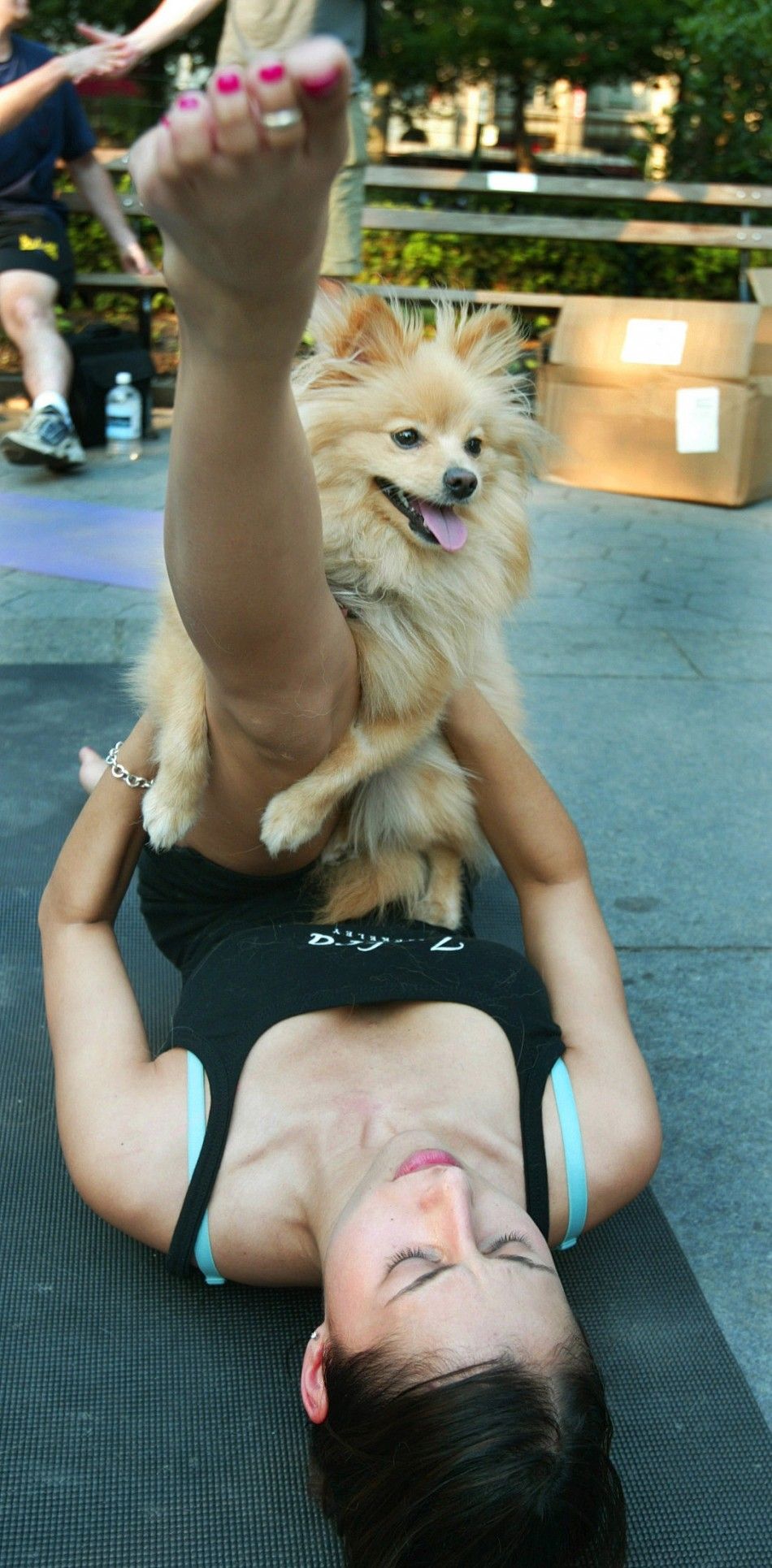 Oddly Trend Doing Yoga With Your Dog is Called Doga