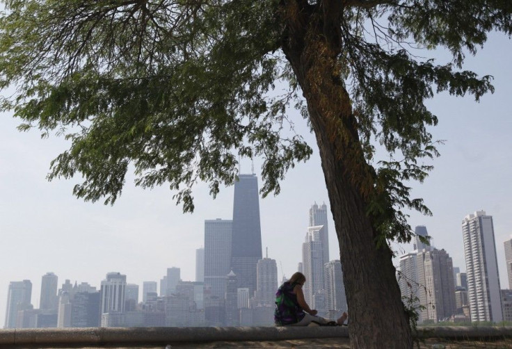 A woman sits in the shade under a tree along the water near North Avenue Beach in Chicago