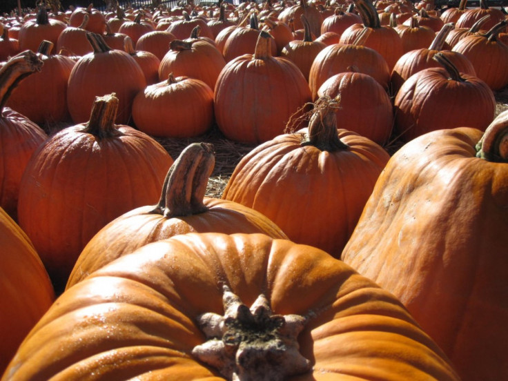 Pumpkins