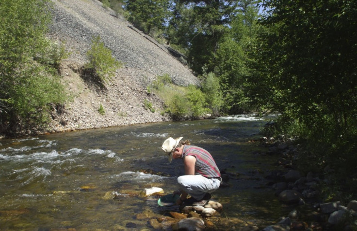 Panning for gold