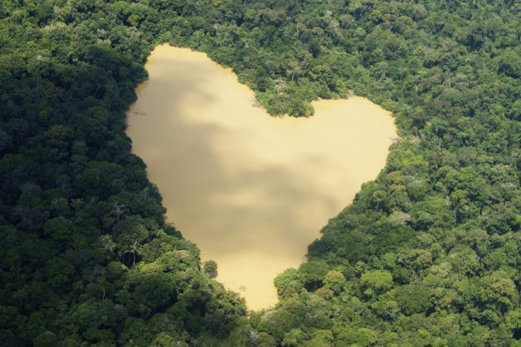 An aerial view of a natural lake fed by a spring in the Amazon River basin near Manaus