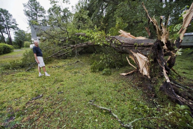 Don Hurtig looks over an oak tree that blew over in his front yard as Hurricane Irene comes ashore near Morehead City, North Carolina