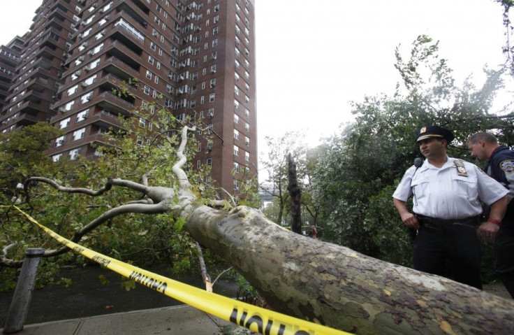 hurricane irene damage