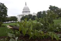 A tree limb lies on the ground in front of the U.S. Capitol the morning after Hurricane Irene passed by Washington