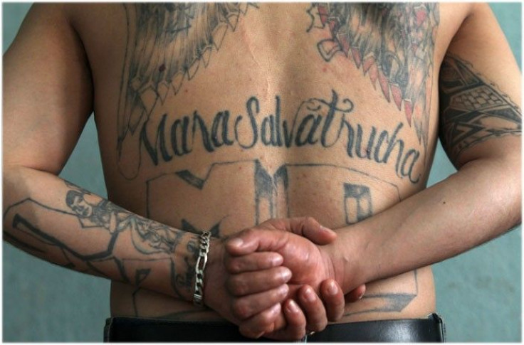 MS-13 gang member