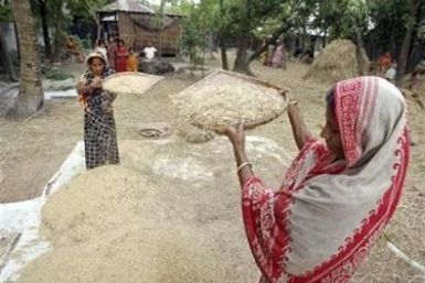 Women sift harvested rice crop at Zalkuri, 15km (9 miles) of Dhaka