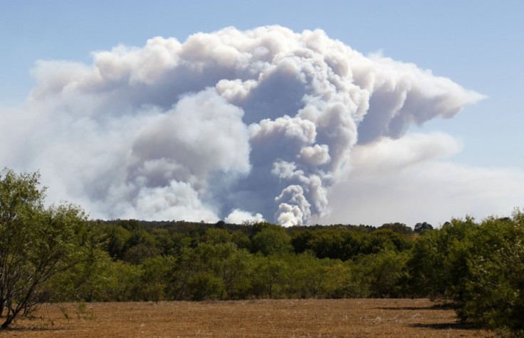 A cloud of smoke rises from a wildfire as it burns out of control near Bastrop