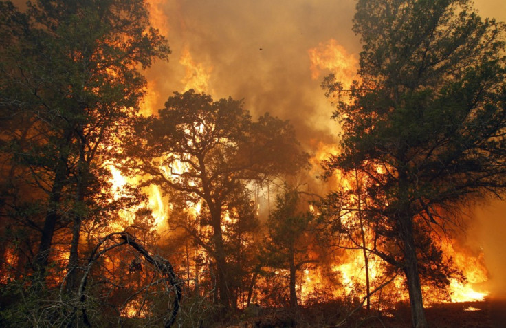 Flames roar near Bastrop State Park as a wildfire burns out of control near Bastrop