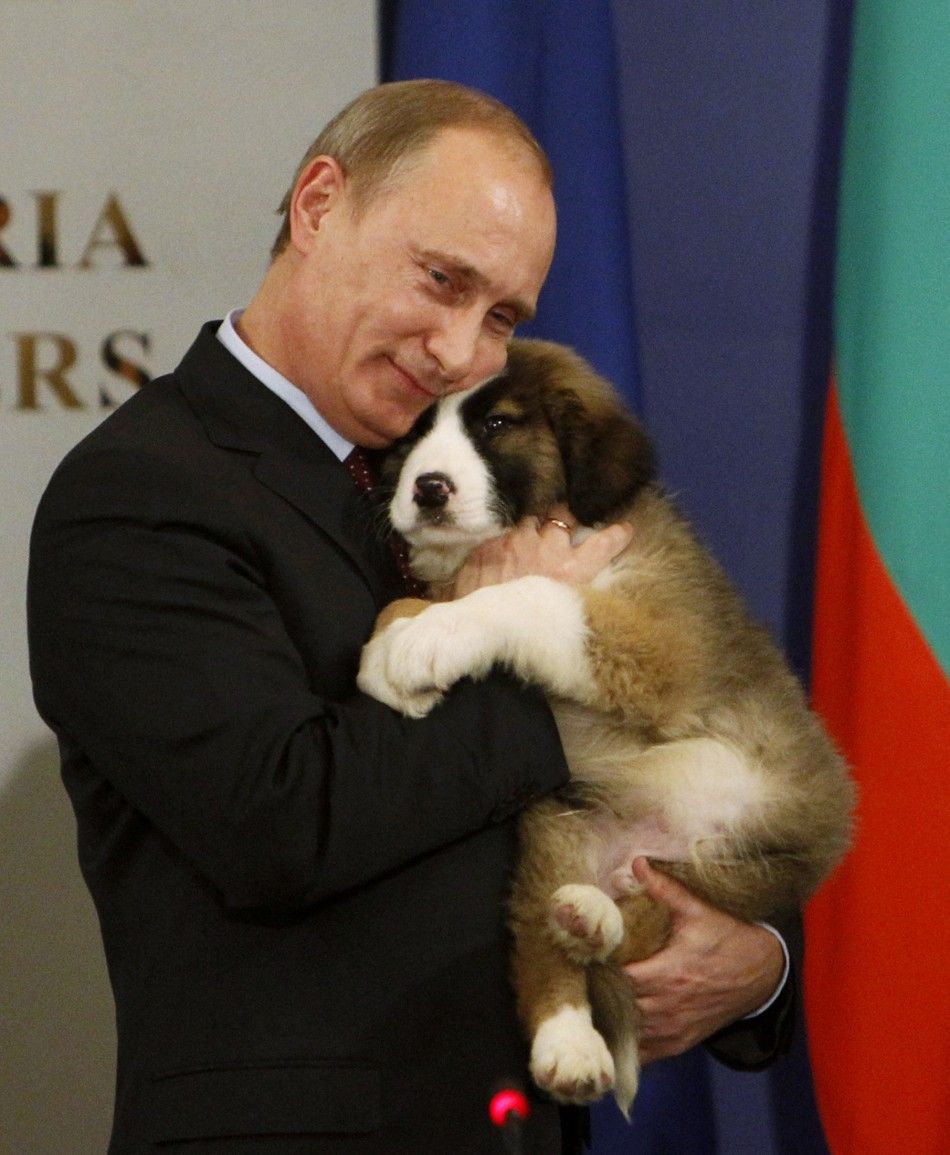 Russia039s Prime Minister Putin hugs a Bulgarian shepherd dog after receiving it as a present from Bulgaria039s Prime Minister Borisov, in Sofia