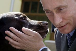 Russia&#039;s Prime Minister Vladimir Putin pets Labrador dog Tonik during his meeting with Russian rescue workers in his Novo-Ogaryovo residence outside Moscow