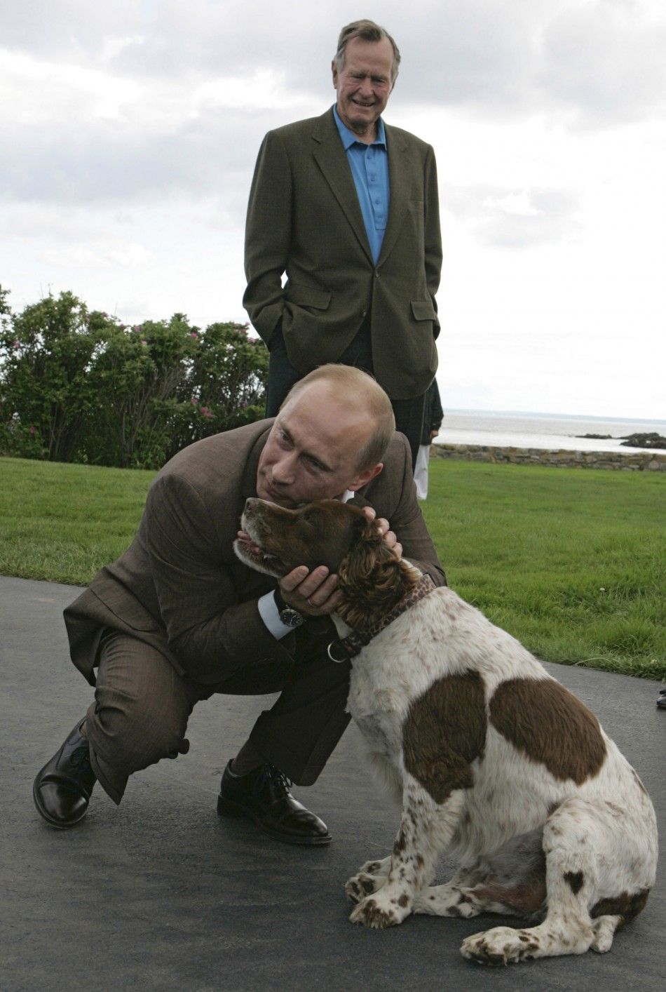 Russia039s President Vladimir Putin strokes a dog on his arrival to the family home of former U.S. President George H. W. Bush in Kennebunkport