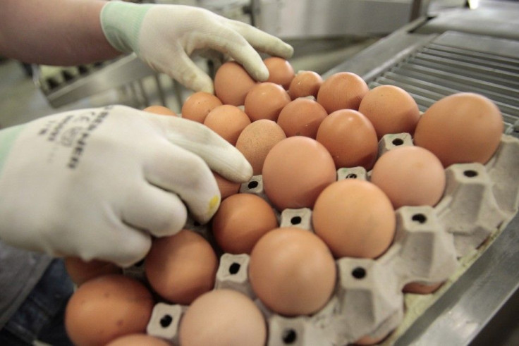 A worker sorts eggs at egg-producing company Toni&#039;s Freilandeier in Glein