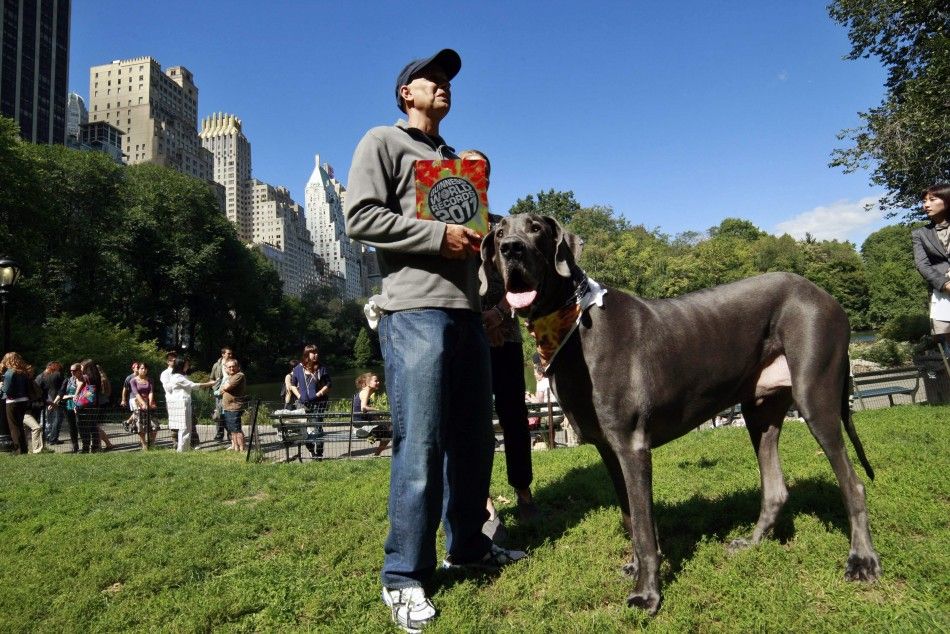 Guinness World Records Tallest Living Dog, Giant George