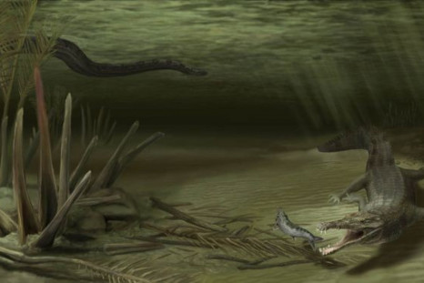 Giant Ancient Crocodile Uncovered in Colombia