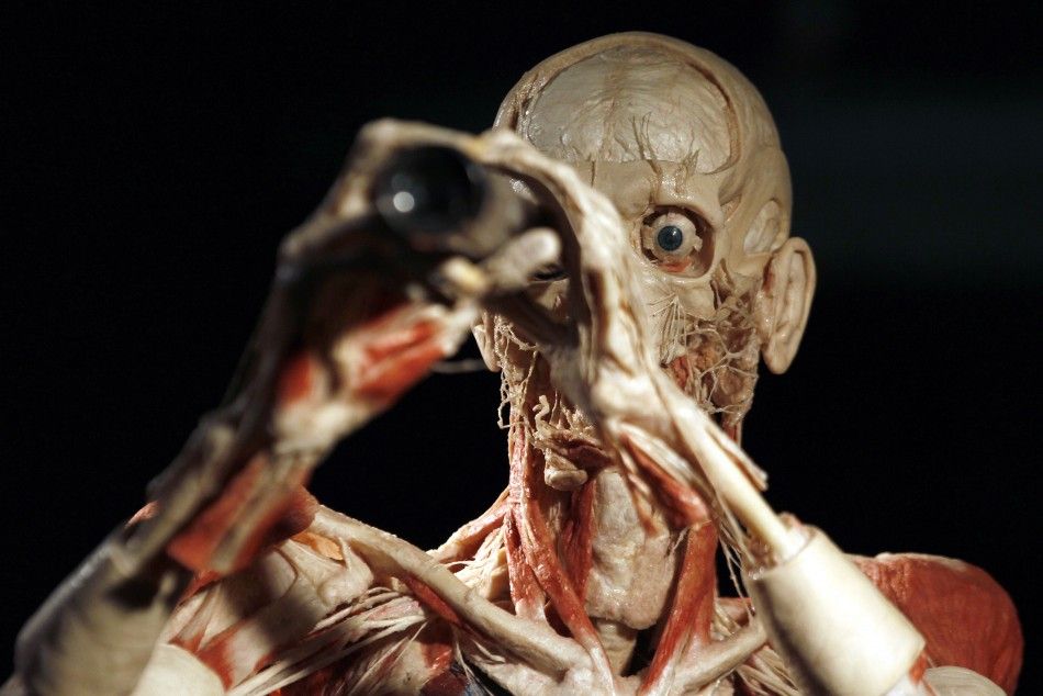 A plastinated human body posed with binoculars is seen during the exhibition quotBody Worldsquot by Gunther von Hagen in Rome 
