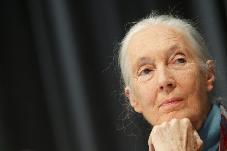 Jane Godall listens to a journalist&#039;s question during a news conference in Vienna