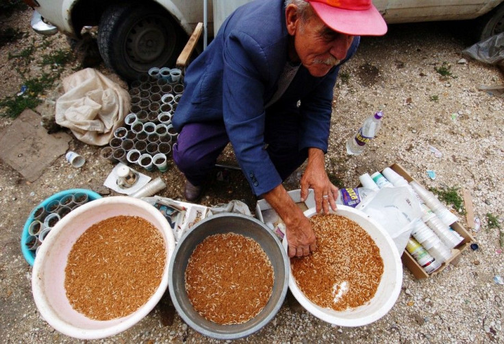 A trader sells maggots and worms at a fish market in Skopje