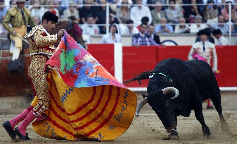 Spanish bullfighter Serafin Marin performs a pass to a bull