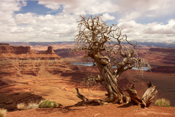 Canyonlands National Park