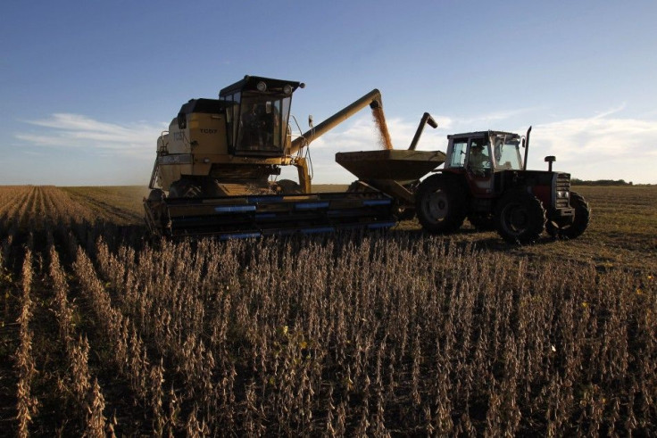 Soybeans are harvested on a farm on the outskirts of San Jose