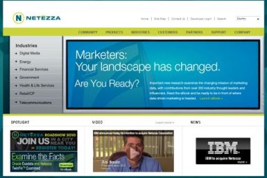 Netezza Corp. website