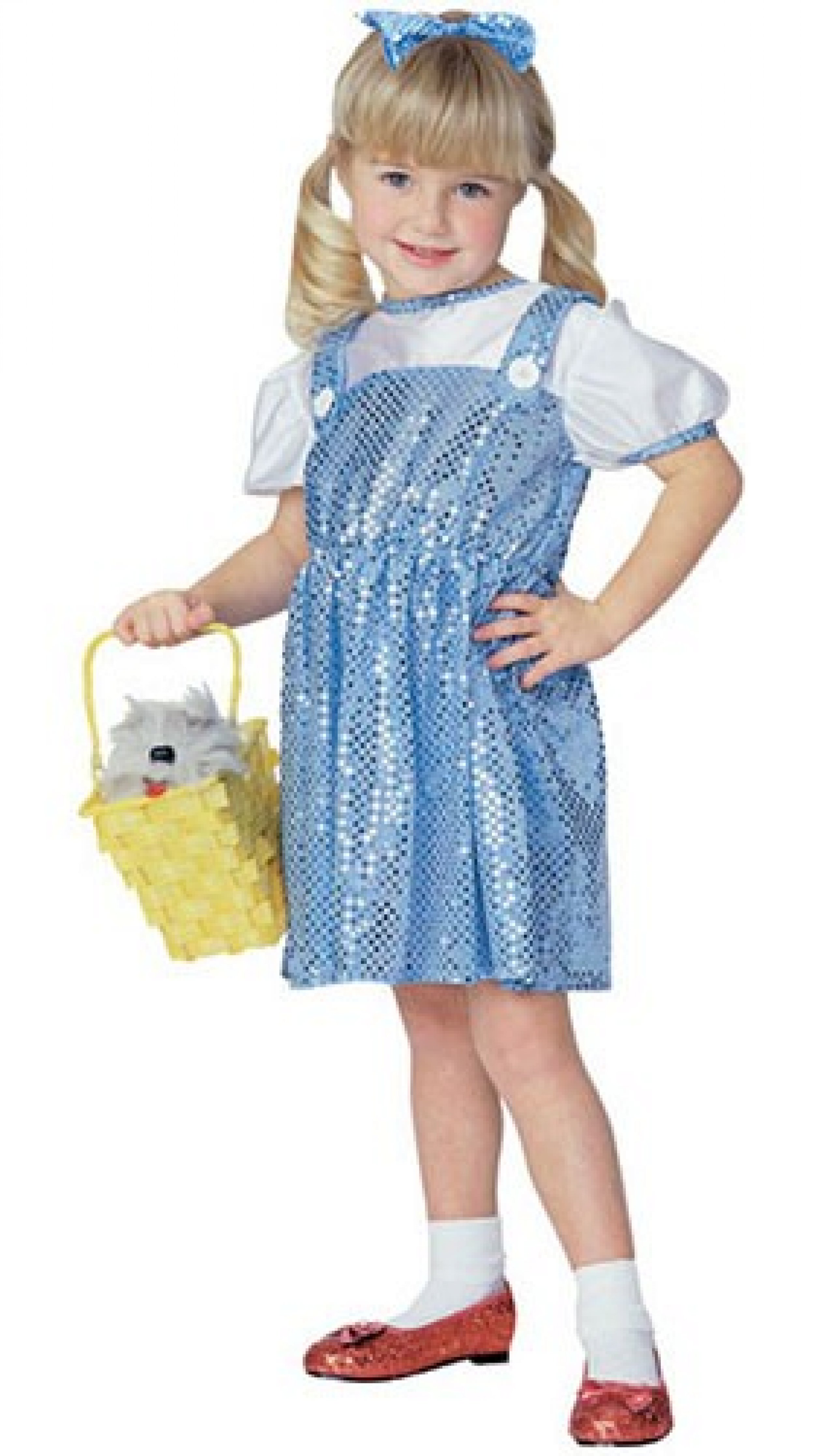 Wizard of Oz Dorothy Kids Costume