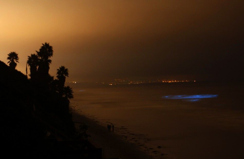 Red Tide Continues to Glow Off San Diego Coast [PHOTOS & VIDEOS] | IBTimes