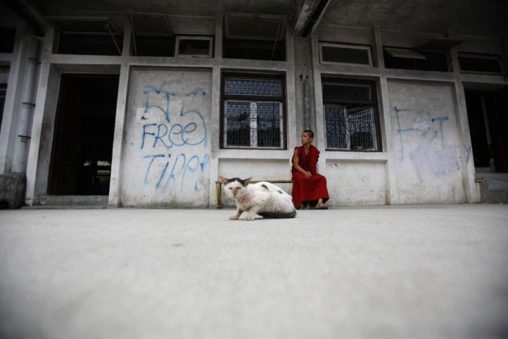 A Tibetan monk sits next to a &quot;Free Tibet&quot; graffiti near a cat during a hunger strike in Kathmandu
