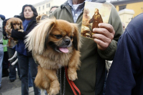 Owner carries his dog as they wait for blessings outside the San Francisco church in Lima